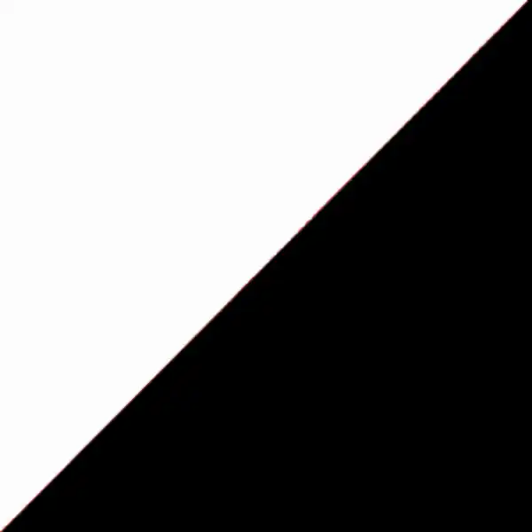 біло чорний колір