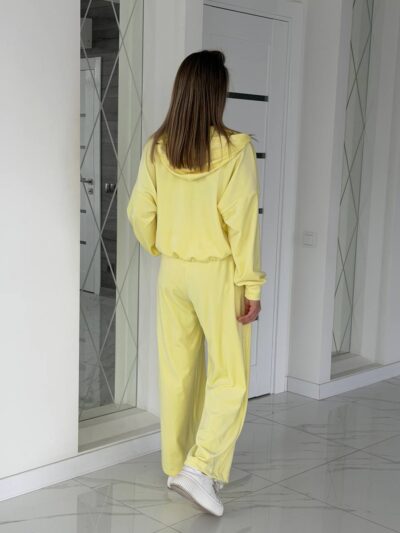 (Копія)Жіночий костюм з велюру шоколадного кольору 00669 00670